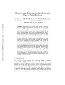 Characterizing the Interpretability of Attention Maps in Digital
  Pathology