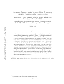 Improving Computer Vision Interpretability: Transparent Two-level
  Classification for Complex Scenes