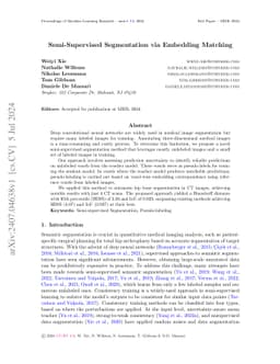 Semi-Supervised Segmentation via Embedding Matching