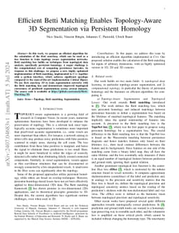 Efficient Betti Matching Enables Topology-Aware 3D Segmentation via
  Persistent Homology