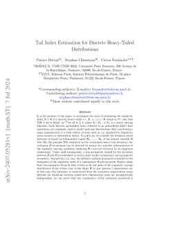 Tail Index Estimation for Discrete Heavy-Tailed Distributions