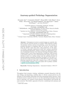 Anatomy-guided Pathology Segmentation