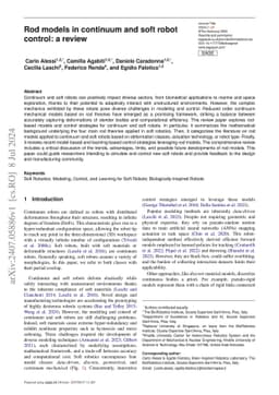 Rod models in continuum and soft robot control: a review