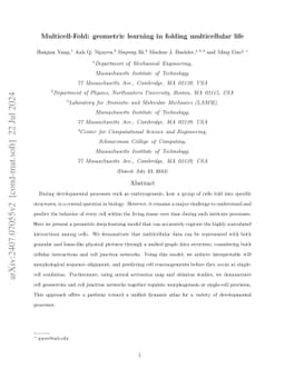 Multicell-Fold: geometric learning in folding multicellular life