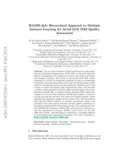 HAMIL-QA: Hierarchical Approach to Multiple Instance Learning for Atrial
  LGE MRI Quality Assessment