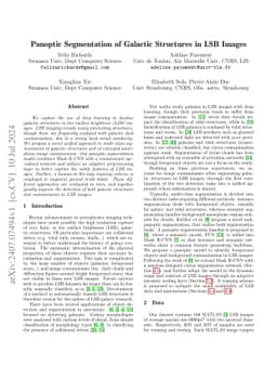 Panoptic Segmentation of Galactic Structures in LSB Images