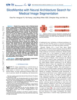SliceMamba with Neural Architecture Search for Medical Image
  Segmentation