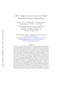 APC: Adaptive Patch Contrast for Weakly Supervised Semantic Segmentation