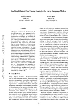 Crafting Efficient Fine-Tuning Strategies for Large Language Models