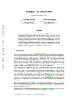 BERTer: The Efficient One