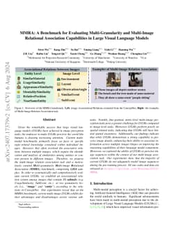 MMRA: A Benchmark for Evaluating Multi-Granularity and Multi-Image
  Relational Association Capabilities in Large Visual Language Models
