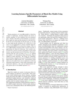 Learning Instance-Specific Parameters of Black-Box Models Using
  Differentiable Surrogates