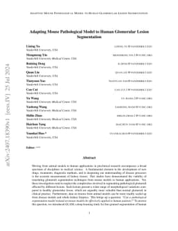 GLAM: Glomeruli Segmentation for Human Pathological Lesions using Adapted Mouse Model