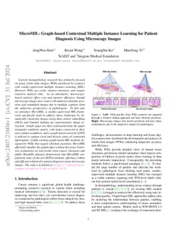 MicroMIL: Graph-based Contextual Multiple Instance Learning for Patient Diagnosis Using Microscopy Images