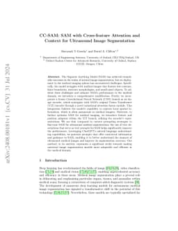 CC-SAM: SAM with Cross-feature Attention and Context for Ultrasound
  Image Segmentation