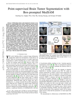 Point-supervised Brain Tumor Segmentation with Box-prompted MedSAM