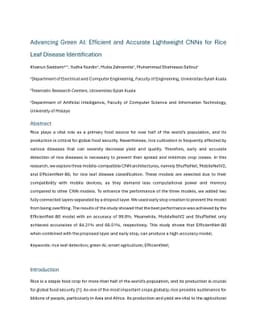 Advancing Green AI: Efficient and Accurate Lightweight CNNs for Rice
  Leaf Disease Identification