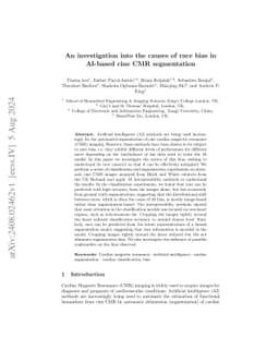 An investigation into the causes of race bias in AI-based cine CMR
  segmentation