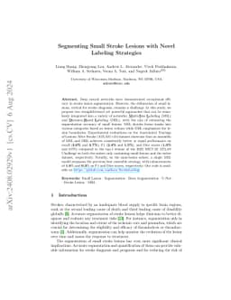 Segmenting Small Stroke Lesions with Novel Labeling Strategies