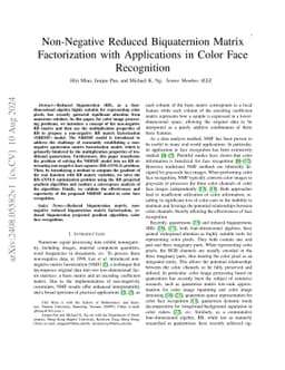 Non-Negative Reduced Biquaternion Matrix Factorization with Applications in Color Face Recognition