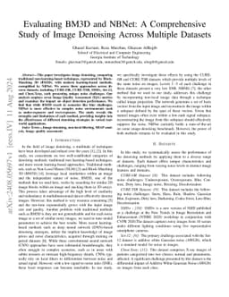 Evaluating BM3D and NBNet: A Comprehensive Study of Image Denoising
  Across Multiple Datasets