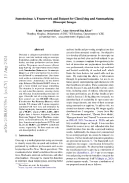 Sumotosima: A Framework and Dataset for Classifying and Summarizing
  Otoscopic Images