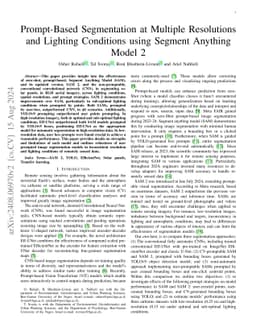 Prompt-Based Segmentation at Multiple Resolutions and Lighting Conditions using Segment Anything Model 2