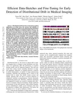 Distributional Drift Detection in Medical Imaging with Sketching and Fine-Tuned Transformer