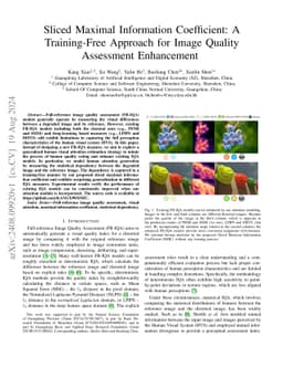Sliced Maximal Information Coefficient: A Training-Free Approach for
  Image Quality Assessment Enhancement