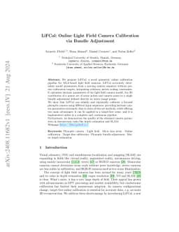 LiFCal: Online Light Field Camera Calibration via Bundle Adjustment