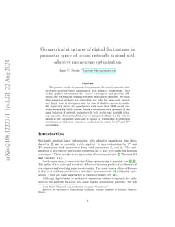 Geometrical structures of digital fluctuations in parameter space of
  neural networks trained with adaptive momentum optimization