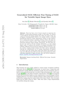 Generalized SAM: Efficient Fine-Tuning of SAM for Variable Input Image
  Sizes
