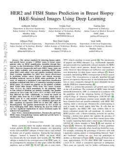 HER2 and FISH Status Prediction in Breast Biopsy H&E-Stained Images
  Using Deep Learning