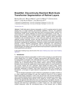 BreakNet: Discontinuity-Resilient Multi-Scale Transformer Segmentation
  of Retinal Layers