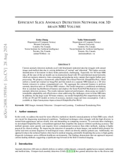 Efficient Slice Anomaly Detection Network for 3D Brain MRI Volume