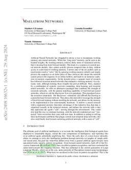 Maelstrom Networks
