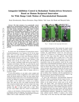 Antagonist Inhibition Control in Redundant Tendon-driven Structures
  Based on Human Reciprocal Innervation for Wide Range Limb Motion of
  Musculoskeletal Humanoids