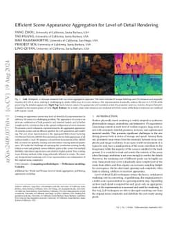 Efficient Scene Appearance Aggregation for Level-of-Detail Rendering
