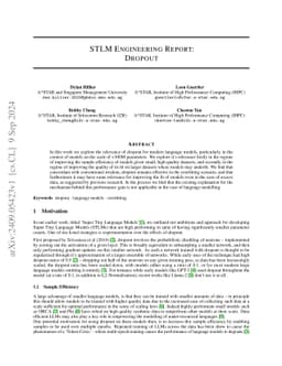 STLM Engineering Report: Dropout