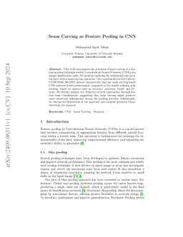 Seam Carving as Feature Pooling in CNN