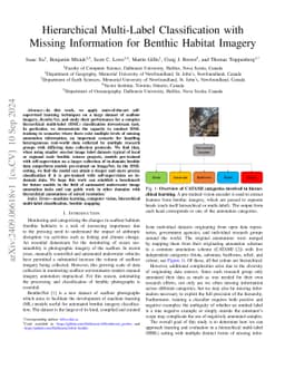 Hierarchical Multi-Label Classification with Missing Information for
  Benthic Habitat Imagery