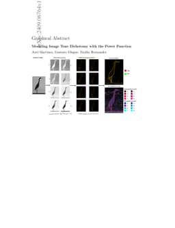 Modeling Image Tone Dichotomy with the Power Function