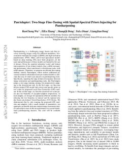 PanAdapter: Two-Stage Fine-Tuning with Spatial-Spectral Priors Injecting
  for Pansharpening