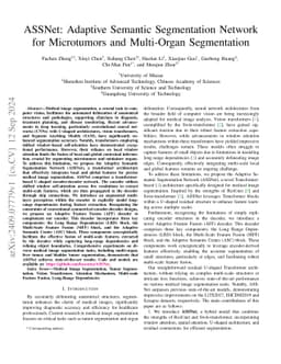 ASSNet: Adaptive Semantic Segmentation Network for Microtumors and
  Multi-Organ Segmentation