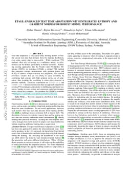 ETAGE: Enhanced Test Time Adaptation with Integrated Entropy and
  Gradient Norms for Robust Model Performance