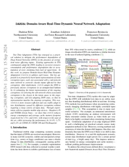 DARDA: Domain-Aware Real-Time Dynamic Neural Network Adaptation