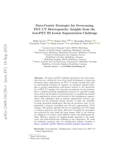 Data-Centric Strategies for Overcoming PET/CT Heterogeneity: Insights
  from the AutoPET III Lesion Segmentation Challenge