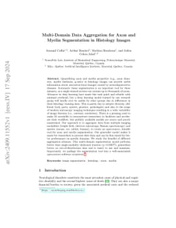 Multi-Domain Data Aggregation for Axon and Myelin Segmentation in
  Histology Images