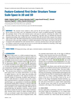 Feature-Centered First Order Structure Tensor Scale-Space in 2D and 3D