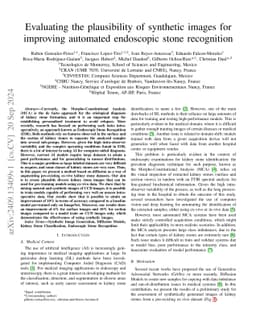 Evaluating the plausibility of synthetic images for improving automated
  endoscopic stone recognition